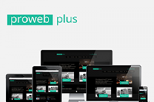 Представительский сайт