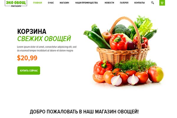 img3342028.png