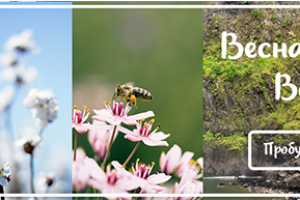 Баннер "магазин здоровья"3