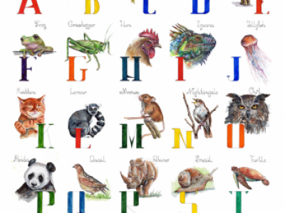 Animal ABC