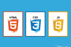 HTML / CSS / JS