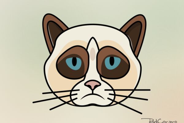 img3092640.png