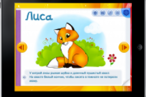 Графика для приложения «Альбом Сафари»