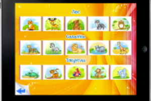 Графика для приложения «Альбом Сафари»