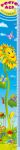 img58542.png