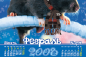 Перекидной календарь "Год крысы"