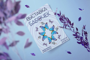 Флаер-анонс: выставка бабочек