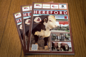 Работа 2960422