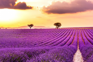 Продающий текст для карточки товара