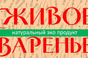 Коммерческое предложение