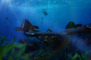 Самолет на дне