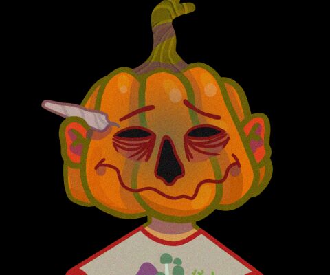 img4217612.png