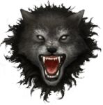 img1646445.png