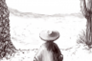 Медитация в Сонорской пустыне