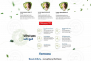 Персональный сайт Мастера Тай—дзи