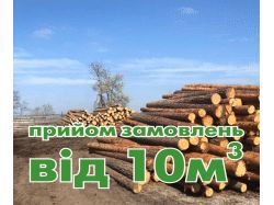 img3809673.png