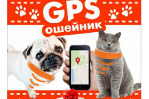 Баннерок для продажи GPS ошейников