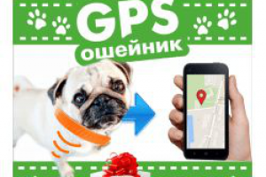 Баннерок для продажи GPS ошейников