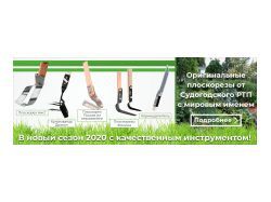 img3809650.png