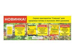 img3809648.png