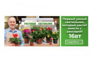Банер на сайт в нише товары для дачи