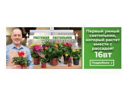 img3809646.png