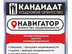 img3809608.png
