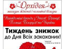 img3809600.png