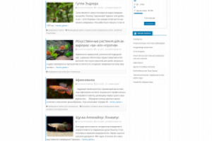 Администратор и редактор сайта