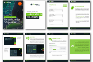 Брошюра проект + ( PDF интерактив )