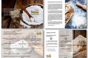 Презентация + (PDF интерактив)