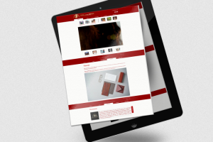 Сайт Иди к своей мечте