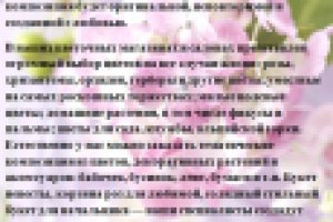 Текст для сети цветочных магазинов