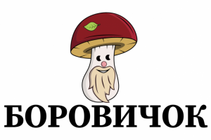 Логотип для интернет-магазин Боровичок