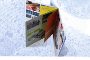 Буклет для рыбной компании Гартен - конструкция