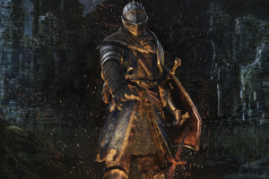 Dark Souls Warriors of the world