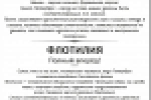 Нейминг службы такси (Санкт-Петербург)