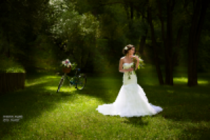 Работа 2449622