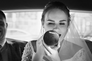 Работа 2449624