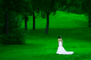 Работа 2449627