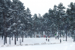 Работа 3876926