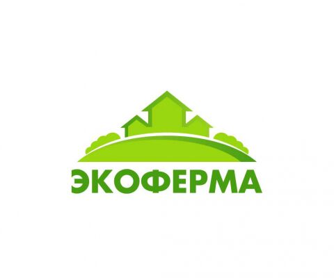 img3574271.png