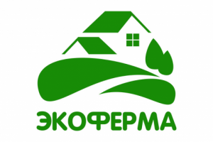 Работа 3574266