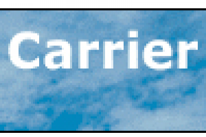 Оптим - акция