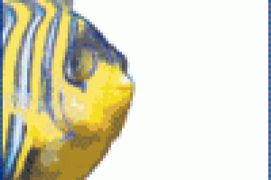 Финалист конкурса - Живая вода