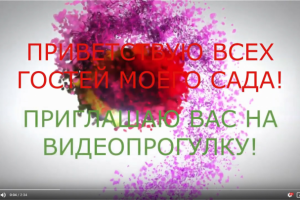 Ролик на основе фотографий