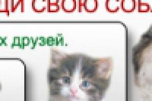 Найди свою собаку!