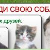 img1572121.png