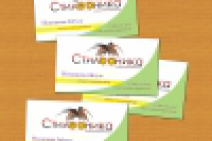 Стилеоника - на конкурс