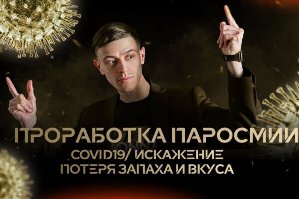 img4203828.png